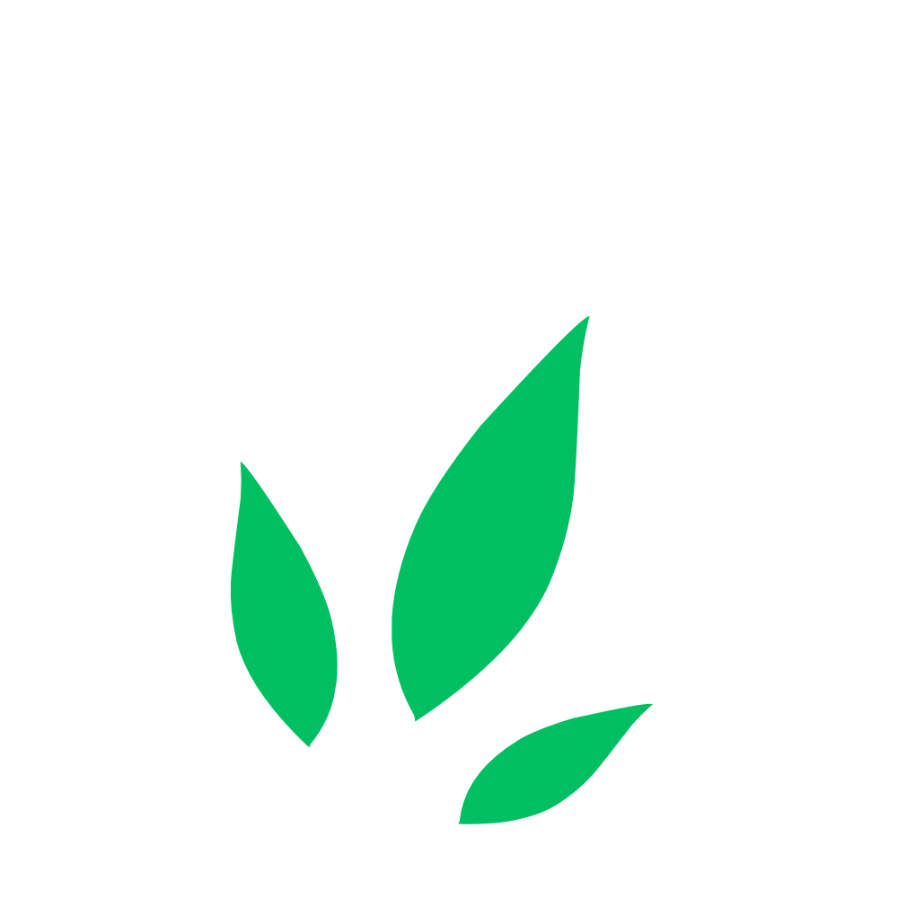 loader image